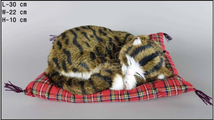 Schlafende Katze auf dem Kopfkissen - Größe L - Braun