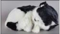 Cat sleeping - Size L - Black & White