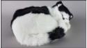 Cat sleeping - Size L - Black & White