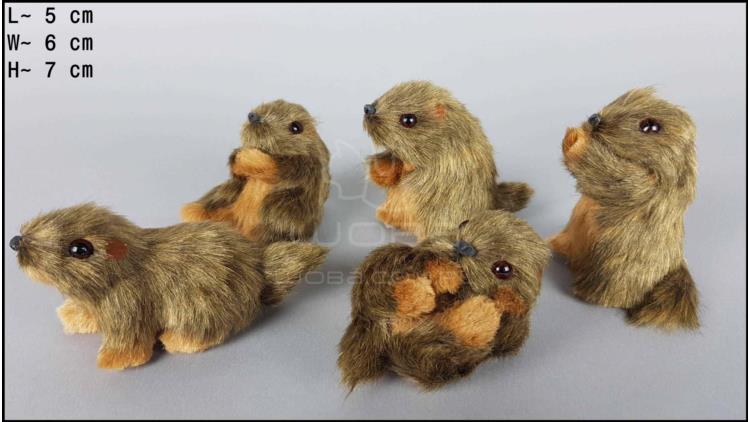 Marmots (5 pcs in a box)