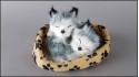 Two Little dogs in a cot with a paw (4 pcs in a box)