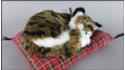 Кот, спящий на подушке - Размер M - Коричневый