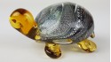 Tortoise - Silver shell