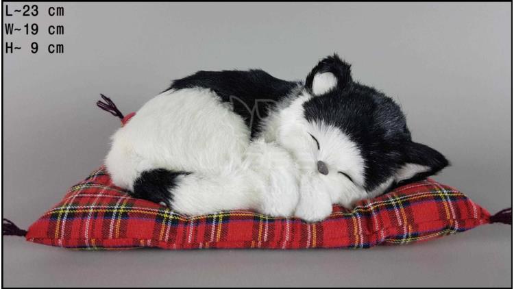 Cat sleeping on a pillow - Size M - Black & White