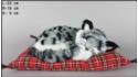 Kot śpiący na poduszce Rozmiar M - Szary