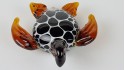 Tortoise - White-and-black shell 