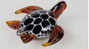 Tortoise - White-and-black shell 