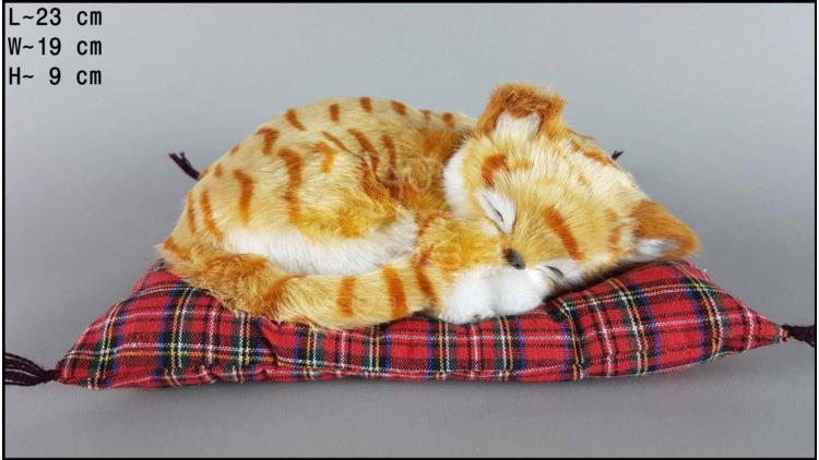 Kot spící na polštáři - Velikost M - Zrzavý
