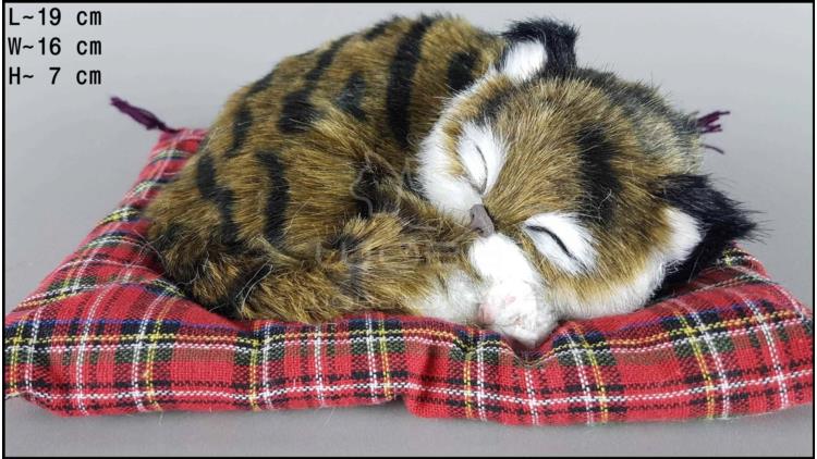 Schlafende Katze auf dem Kopfkissen - Größe S - Braun
