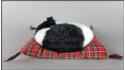 Mačka spiaca na vankúši - Veľkosť S - Čierno-Biely