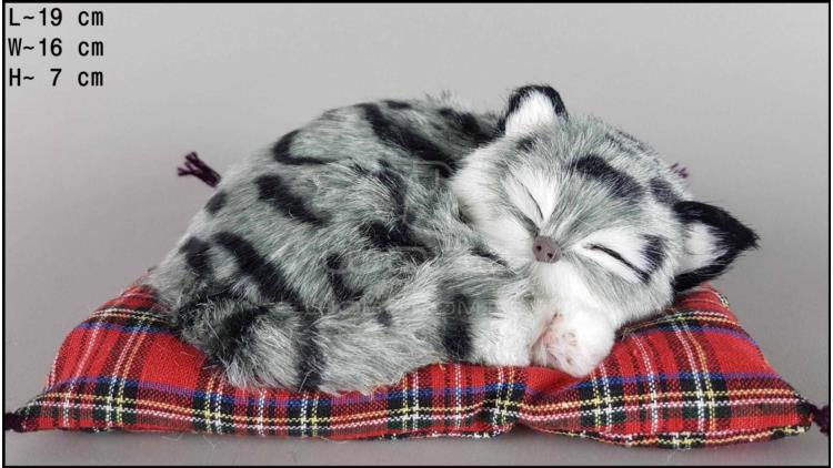 Mačka spiaca na vankúši - Veľkosť S - Sivý