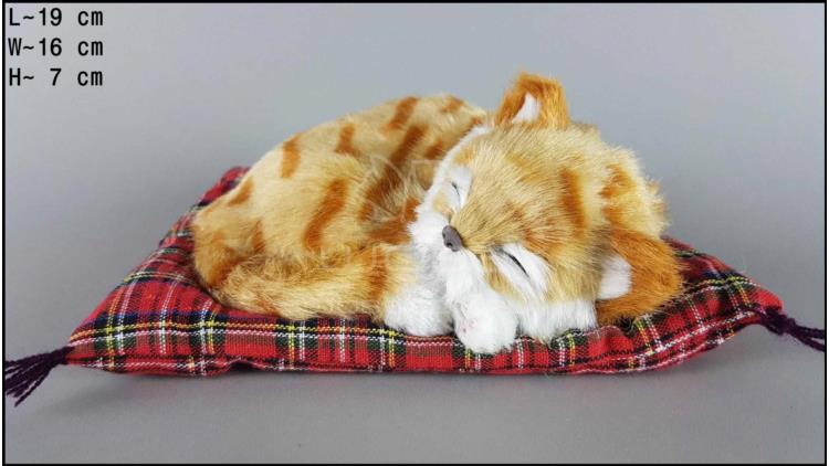Kot spící na polštáři - Velikost S - Zrzavý