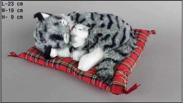 Cat with a kitten on a pillow - Size M