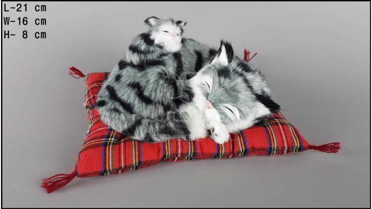 Cat with a kitten on a pillow - Size S
