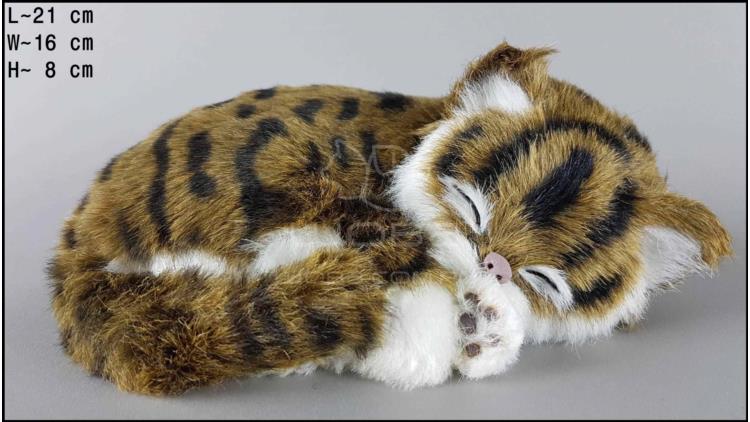 Спящий кот - Размер M - Коричневый
