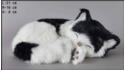Spiaca mačka - Veľkosť M - Čierno-Biely