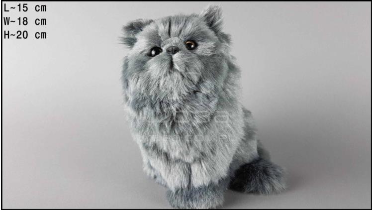 Large cat, downy - Grey