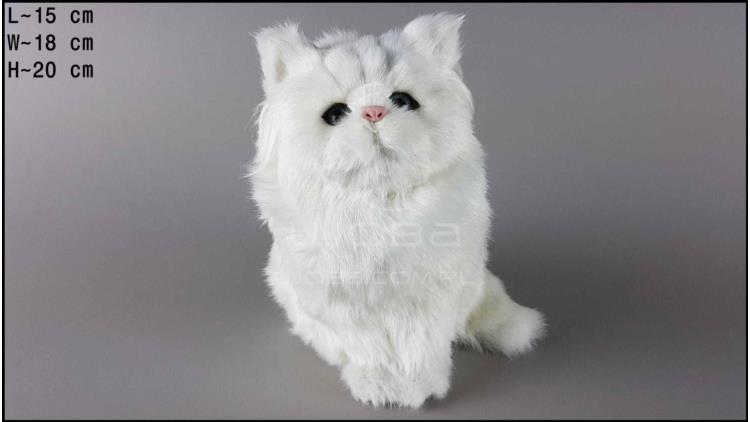 Haarige Katze groß - Weiß