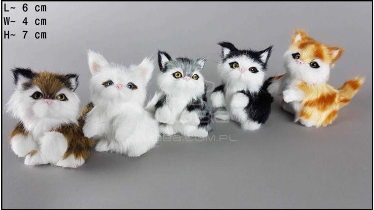 Kittens with 2 paws raised up (5 pcs in a box)
