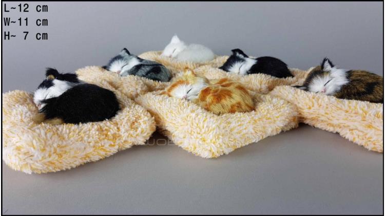 Kittens on a frotte pillow (6 pcs in a box)