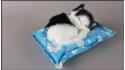 Kittens on a white bamboo pillow (4 pcs in a box)
