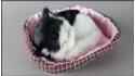 Kittens in a pink cot (4 pcs in a box)