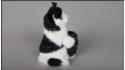 Katze mit einem Fass - Schwarz-Weiß