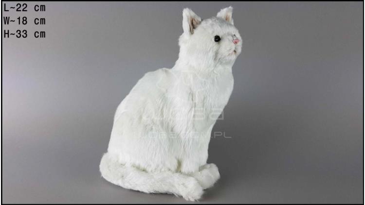 V.large cat sitting - White
