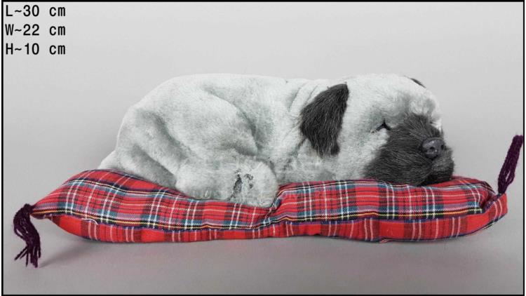 Собака Шарпей на подушке - Размер L