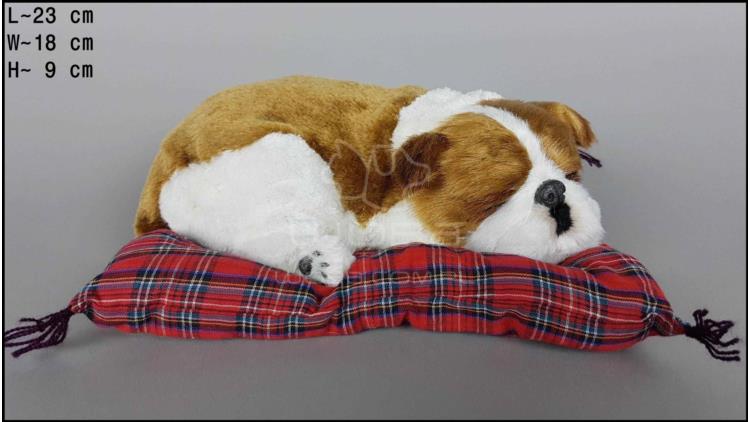 Dog English Bulldog on a pillow - Size M