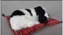 Собака Коккер-спаниель на подушке - Размер M - Черно-Белый