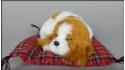Dog Charles Spaniel on a pillow - Size M - Yellow