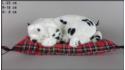 Dog Dalmatian on a pillow - Size M