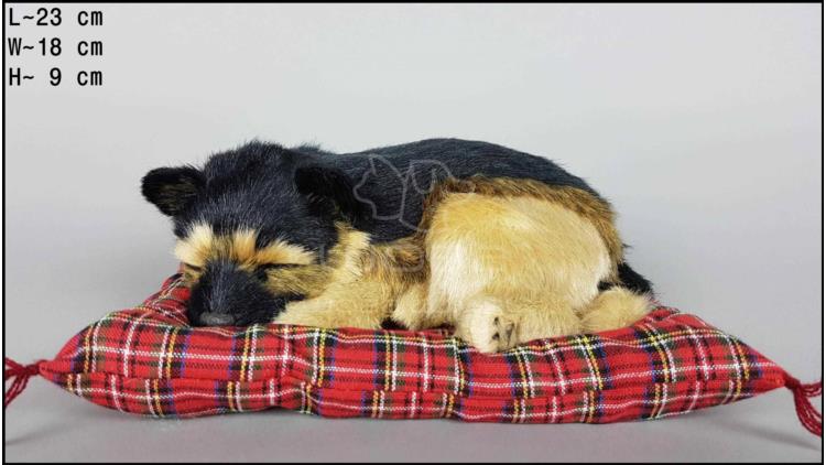 Dog German shepherd on a pillow - Size M