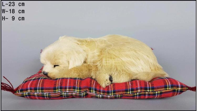 Pies Labrador na poduszce Rozmiar M - Biszkoptowy