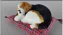 Pies Beagle na poduszce Rozmiar S