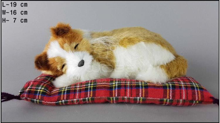 Dog Collie on a pillow - Size S