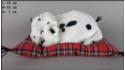 Dog Dalmatian on a pillow - Size S