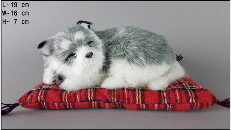 Dog Husky on a pillow - Size S